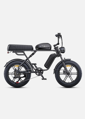Fat Bike Électrique ENGWE M1 - RIDETRIC
