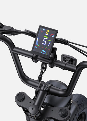 Fat Bike Électrique ENGWE M1 - RIDETRIC