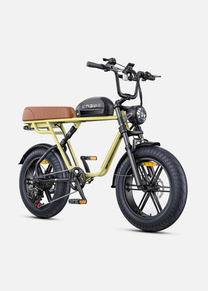 Fat Bike Électrique ENGWE M1 - RIDETRIC