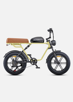 Fat Bike Électrique ENGWE M1 - RIDETRIC