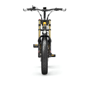 Fat bike électrique LANKELEISI X3000 PLUS-UP vu de face, adapté aux terrains accidentés et chemins urbains.