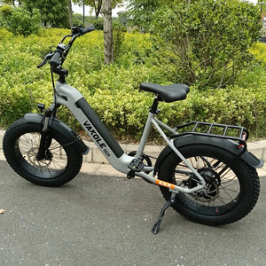 Fat Bike Électrique VAKOLE SG20 (Version améliorée) - RIDETRIC