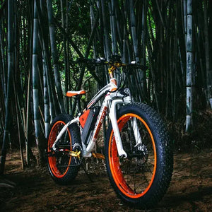 Fat Bike Électrique Richbit Cruiser TOP-012 - RIDETRIC