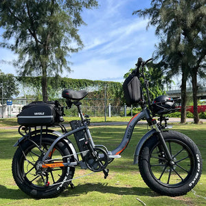 Fat Bike Électrique VAKOLE Y20 Pro - RIDETRIC