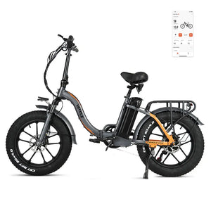 Fat Bike Électrique VAKOLE Y20 Pro - RIDETRIC