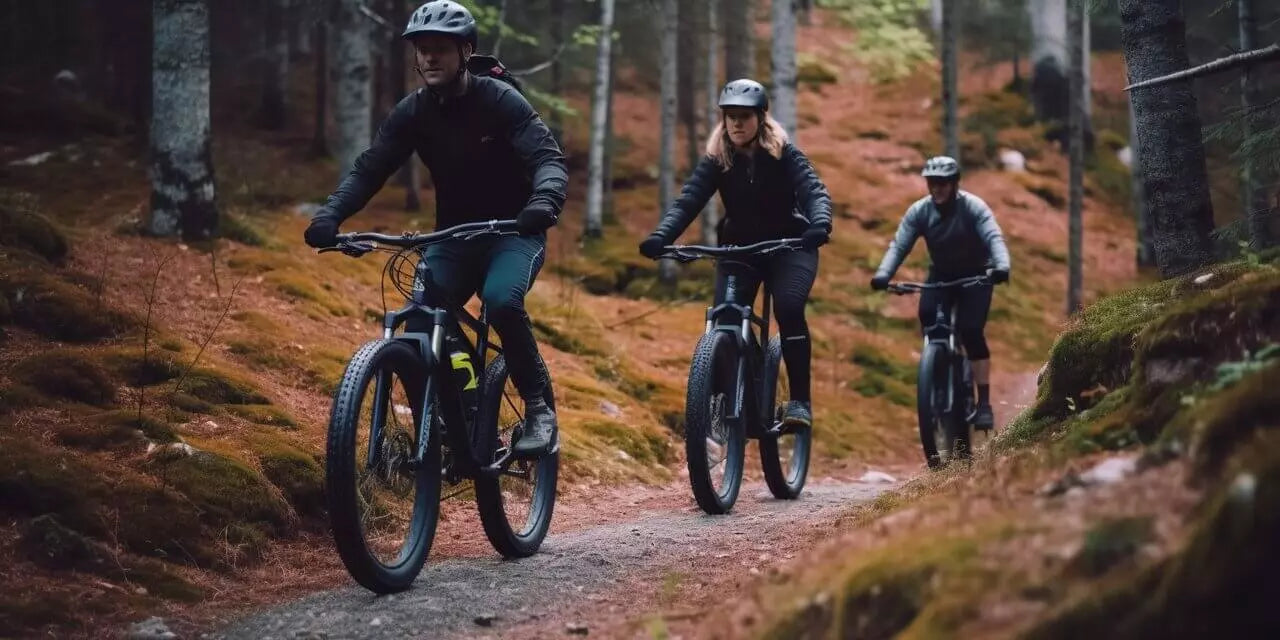 fat-bike-electrique-mobilite-ecologique-Ridetric