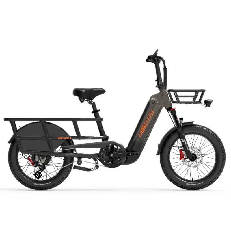 LANKELEISI Wombat-1 : Vélo Cargo Électrique 1000W avec Capteur de Couple - RIDETRIC