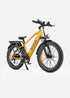Fat Bike Électrique ENGWE E26  250W  ( High-Step ) - RIDETRIC