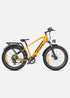 Fat Bike Électrique ENGWE E26  250W  ( High-Step )