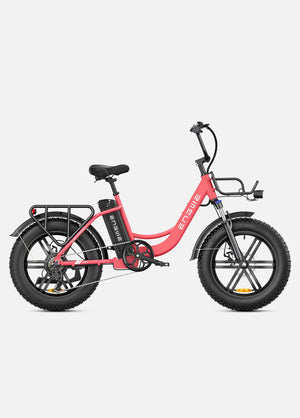 Fat Bike Électrique ENGWE L20 - RIDETRIC